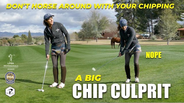 Don’t Horse Around with Your Chipping