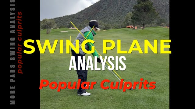 Swing Plane Analysis with Campers (po...