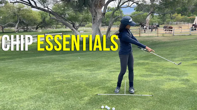 Chip Essentials every golfer needs