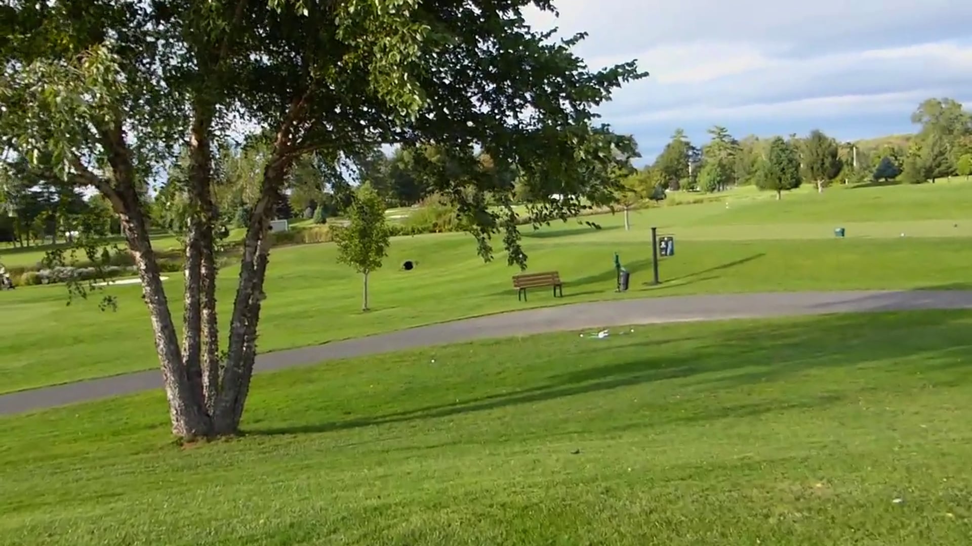 Uphill, a Tree & Tight Pin