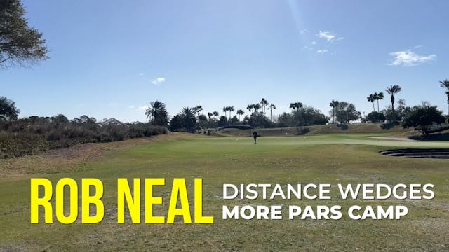 Rob Neal - Distance Wedges - Feb 4 Ca...