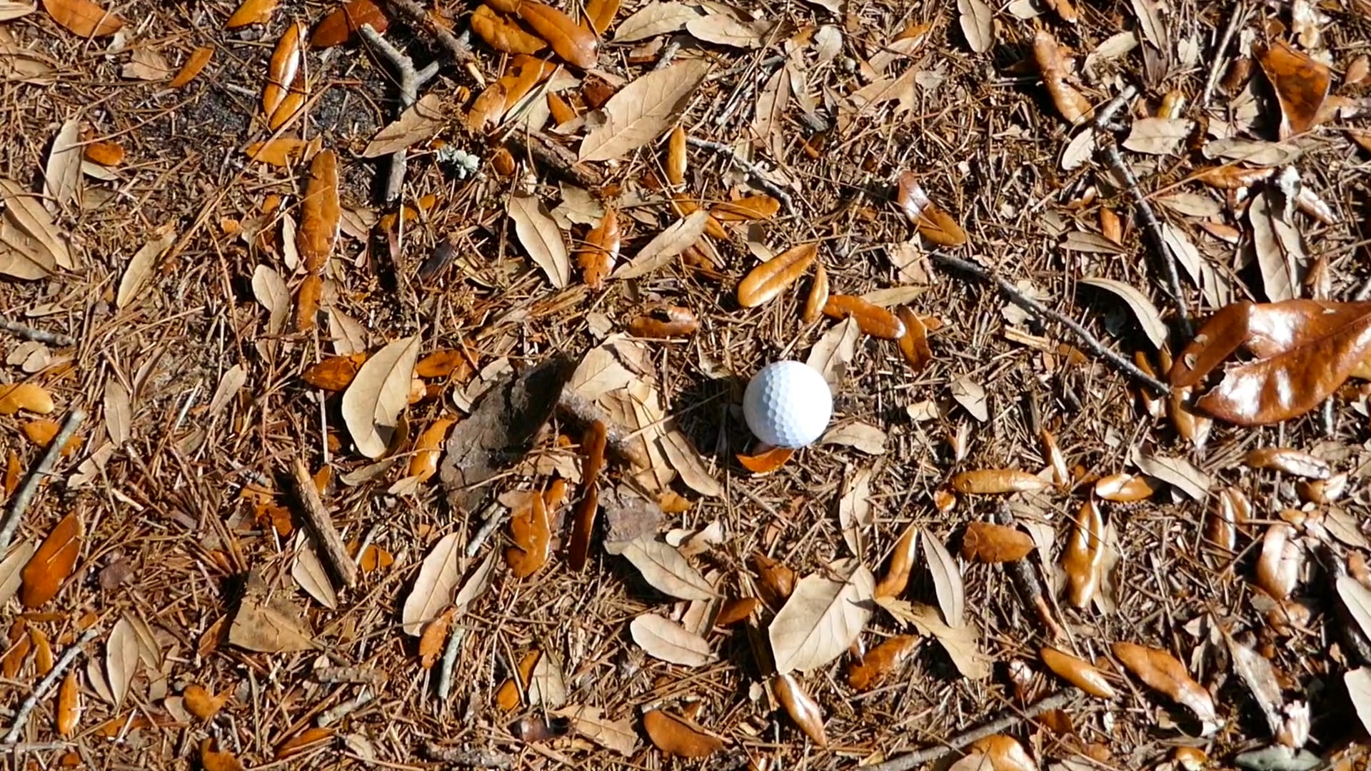 Punchout with Short Iron