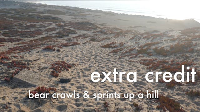 Bear Crawl & Sprints- (how fun!)