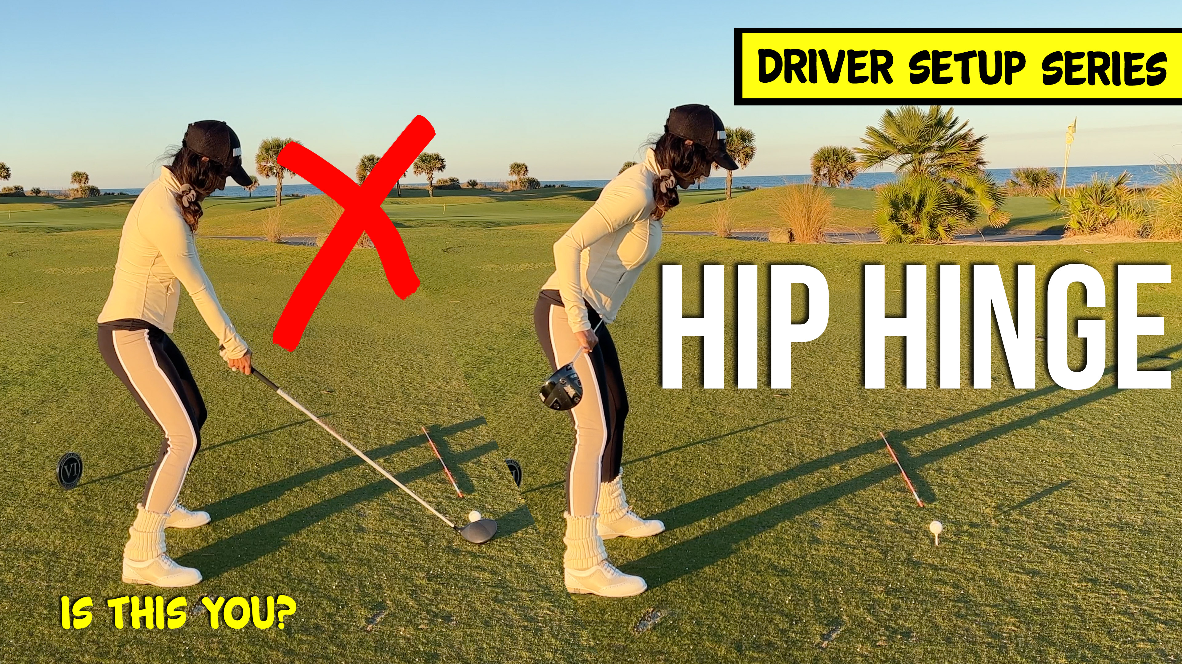 Driver Setup - Hip Hinge