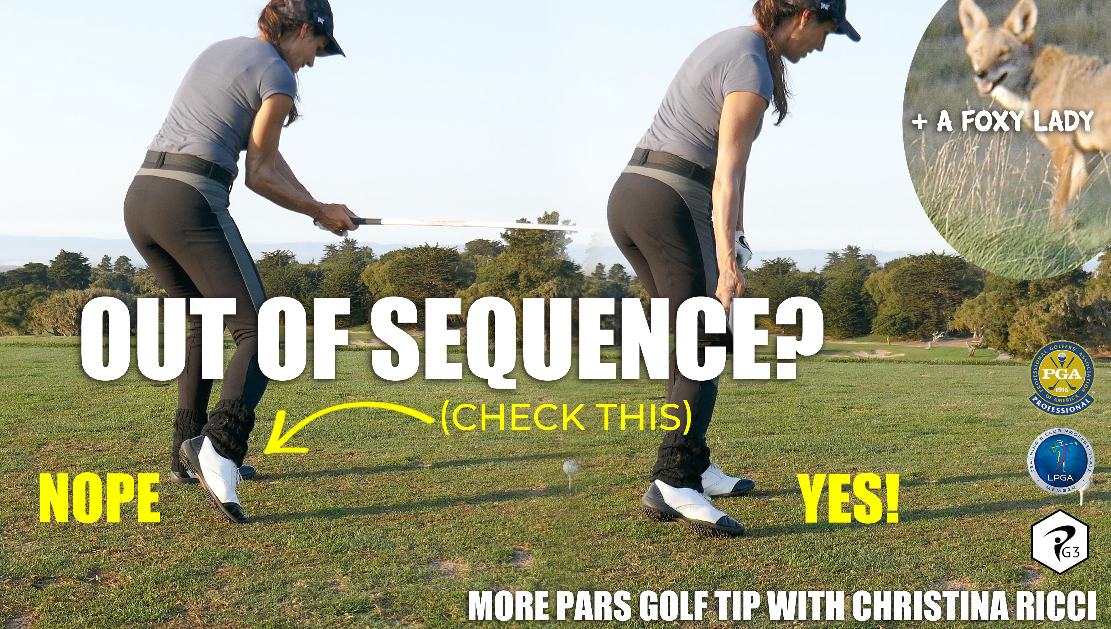 SEQUENCE KILLER the back foot & the fox