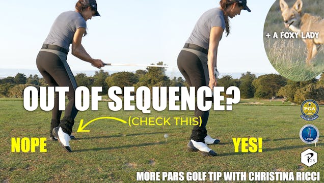 SEQUENCE KILLER the back foot & the fox