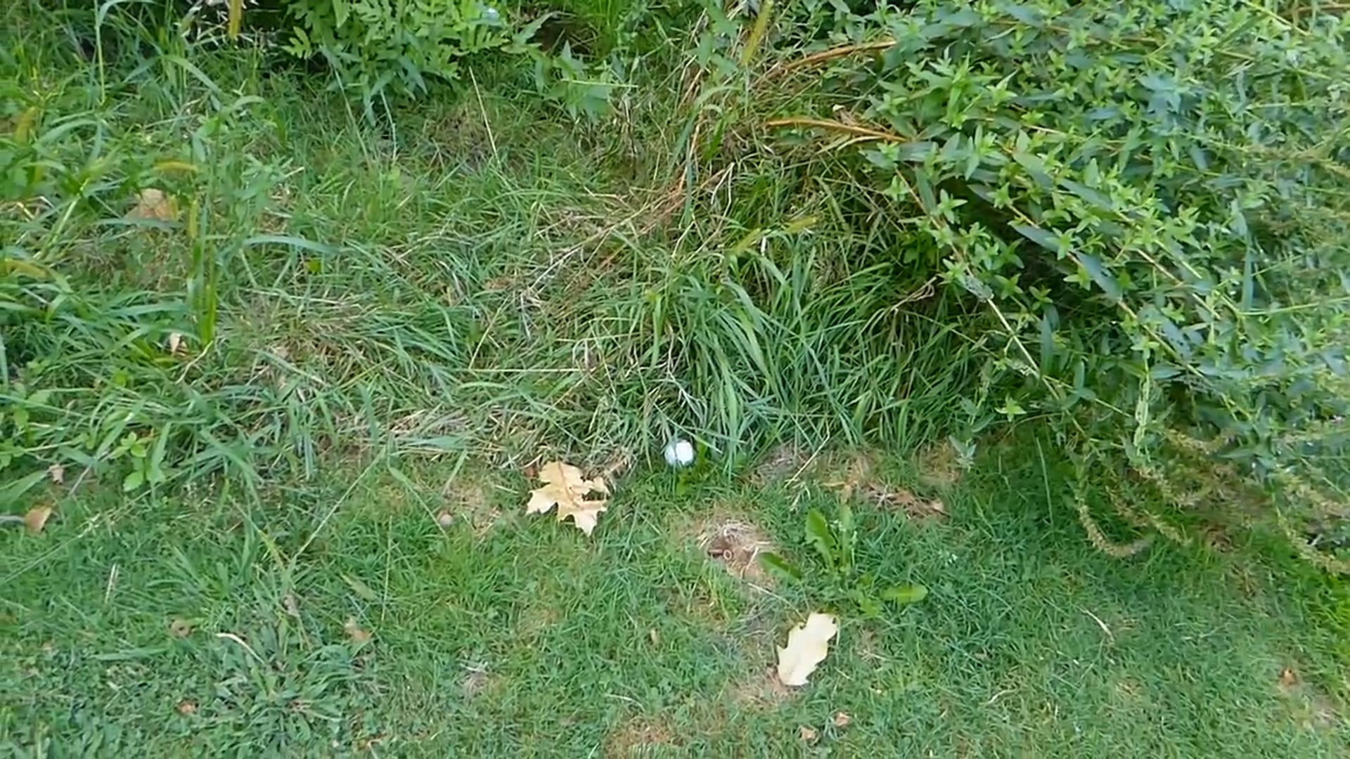 A Good & Bad Scenario