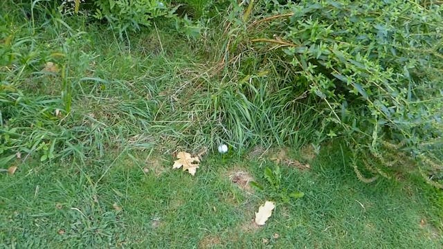 A Good & Bad Scenario