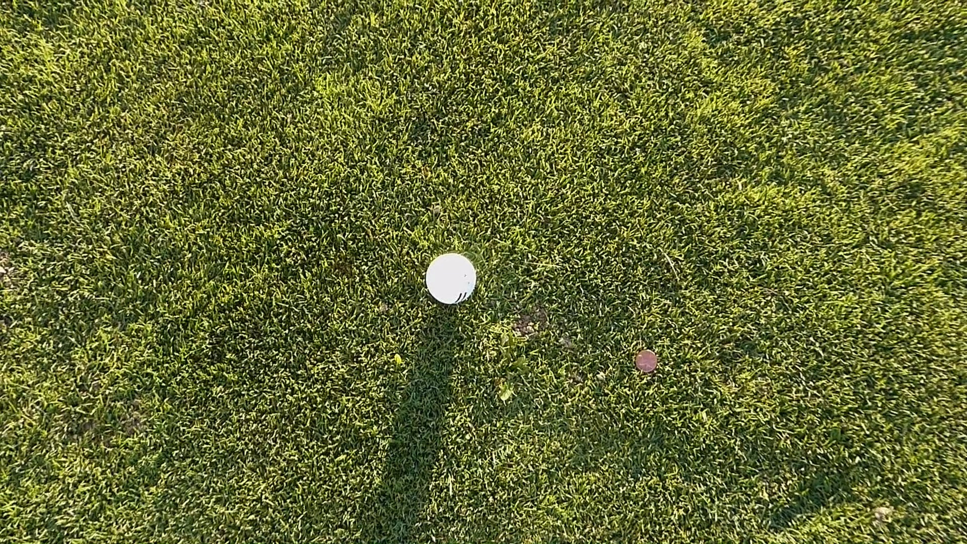 Penny for Head and Swing Plane