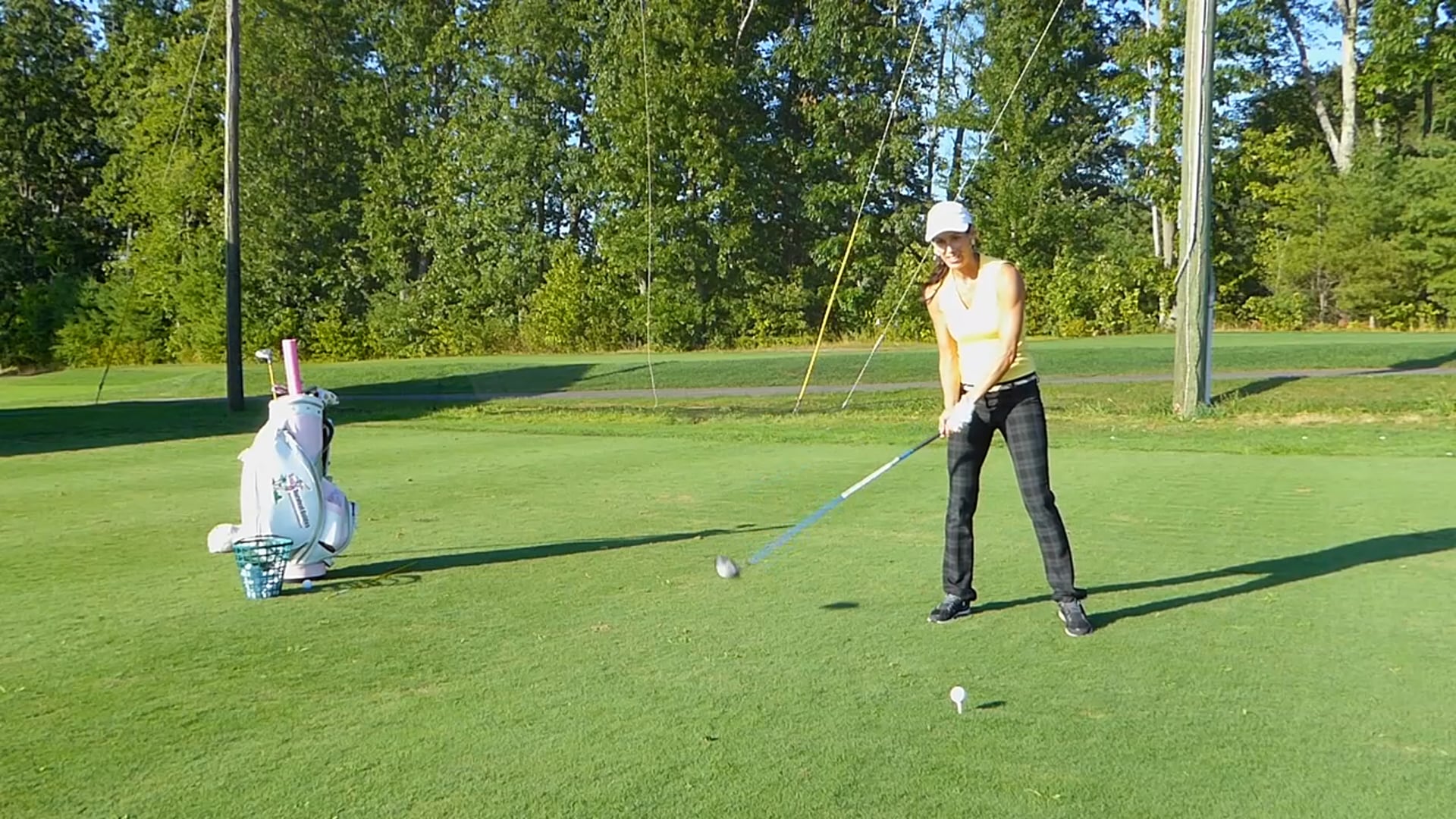 Chicken Gone With This Tip