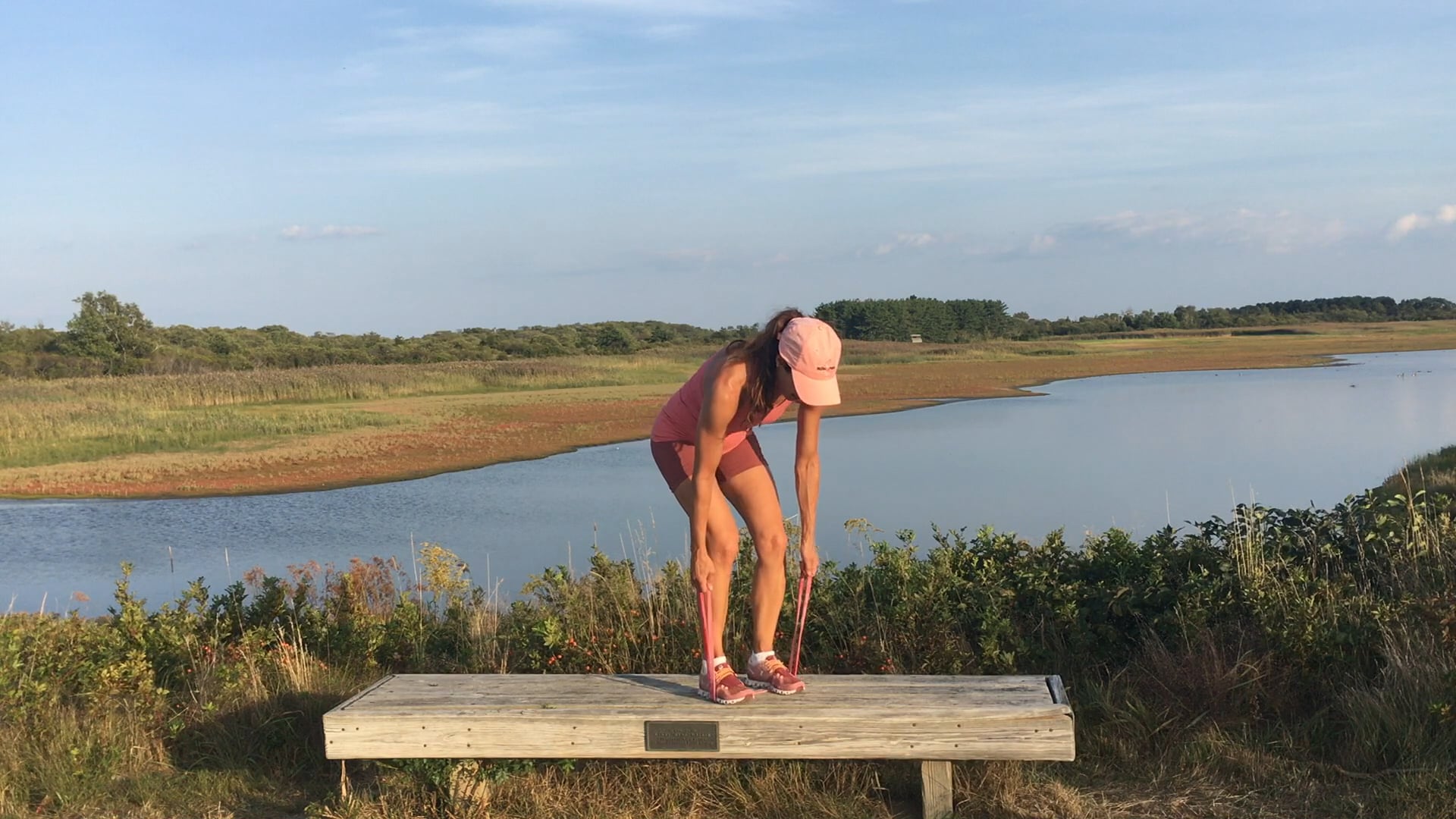 Resistance Bands -  Bentover Row