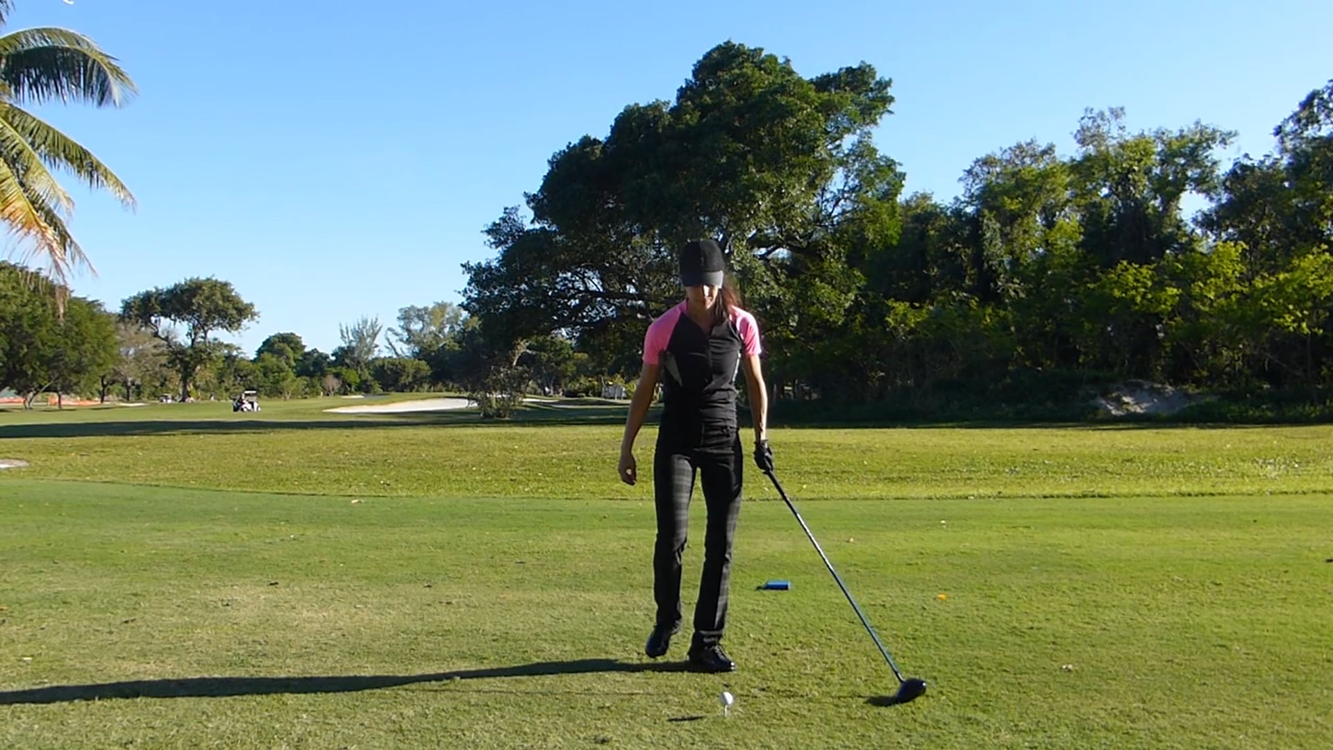 Sunday Drive or Rush Hour