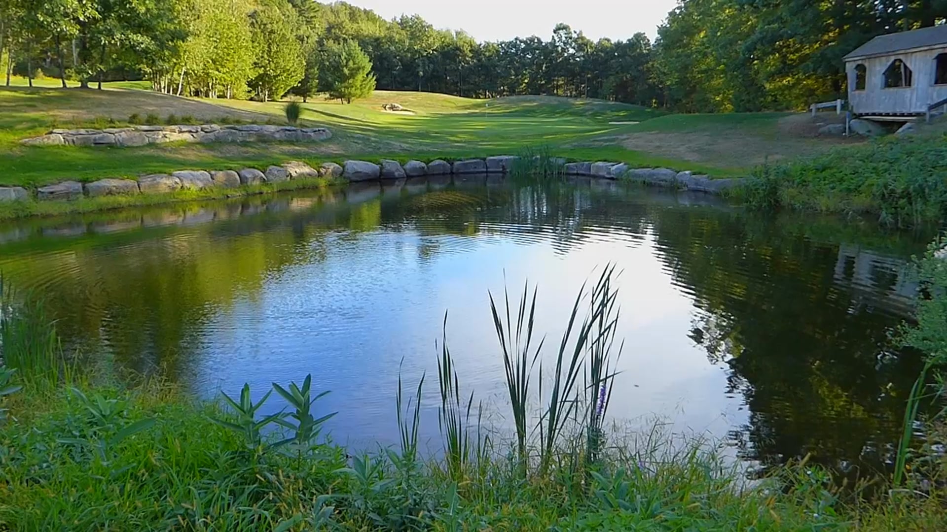 On the Bench with Christina - Harvey's Red Book