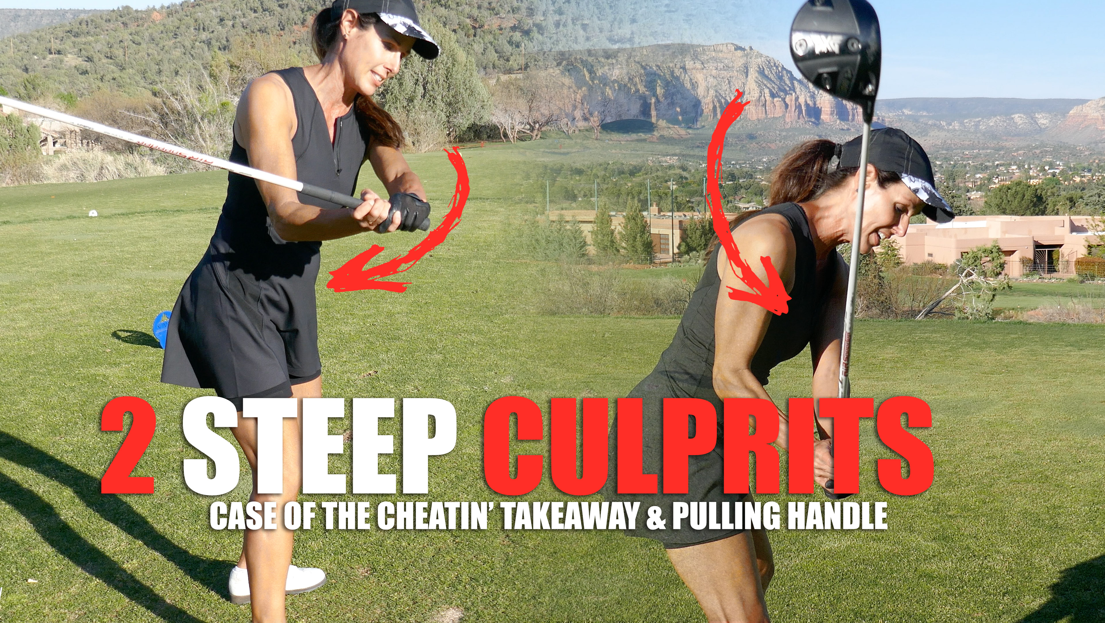 TWO STEEP CULPRITS (don't skirt the issue)