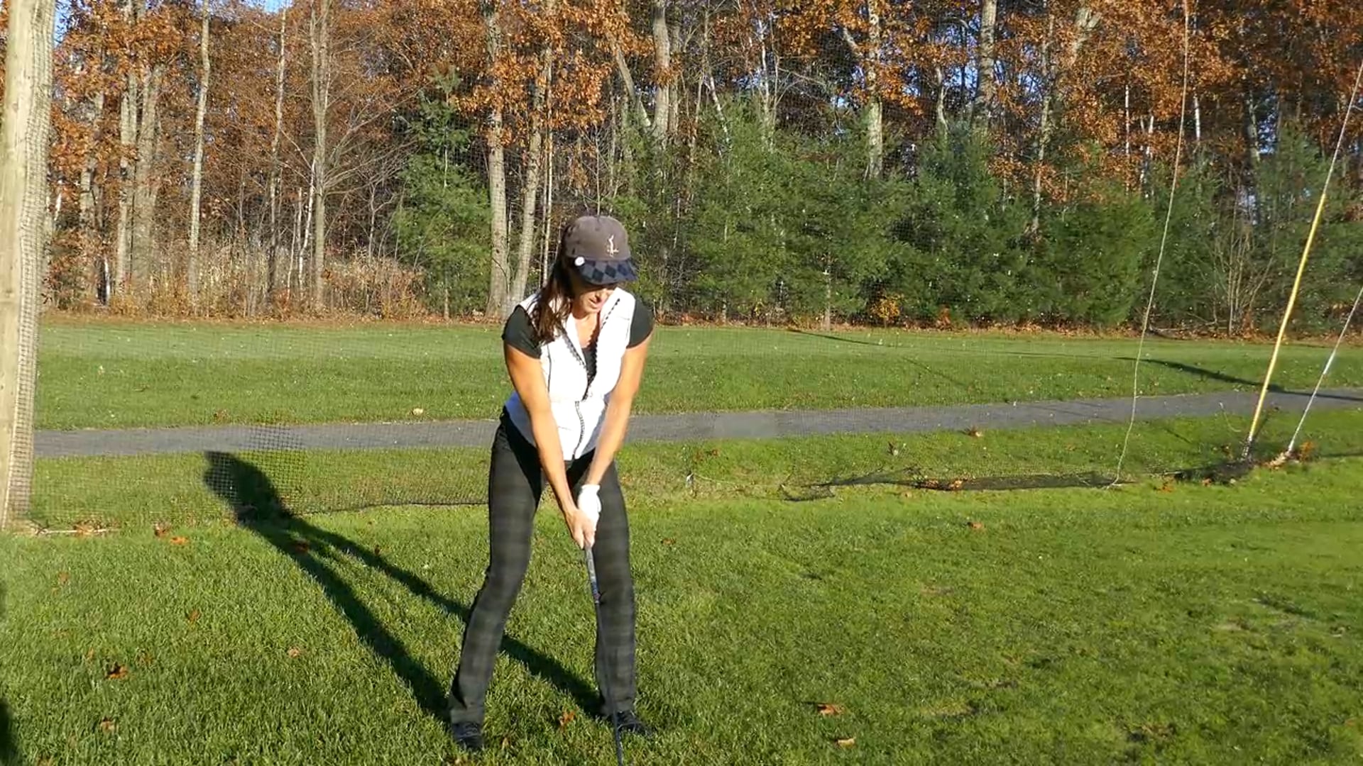 Transition is a Blender (like a smoothie)