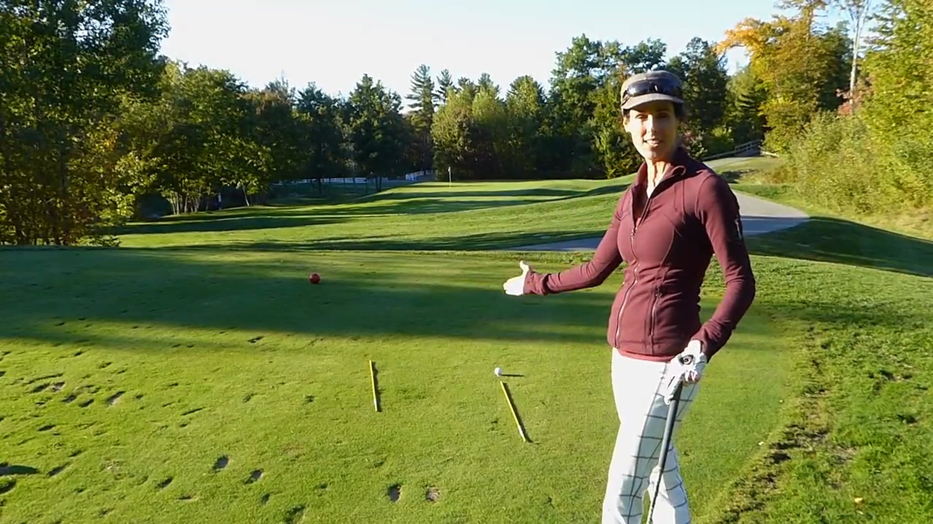 Alignment Principles