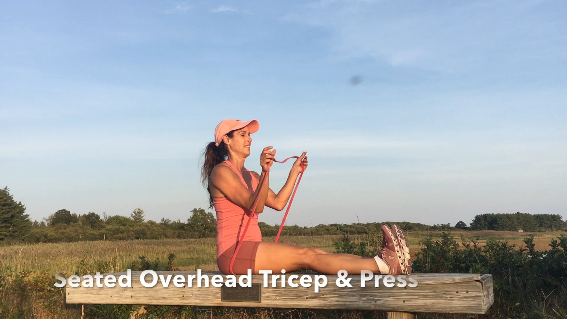 Resistance Bands -  Seated Tricep Press