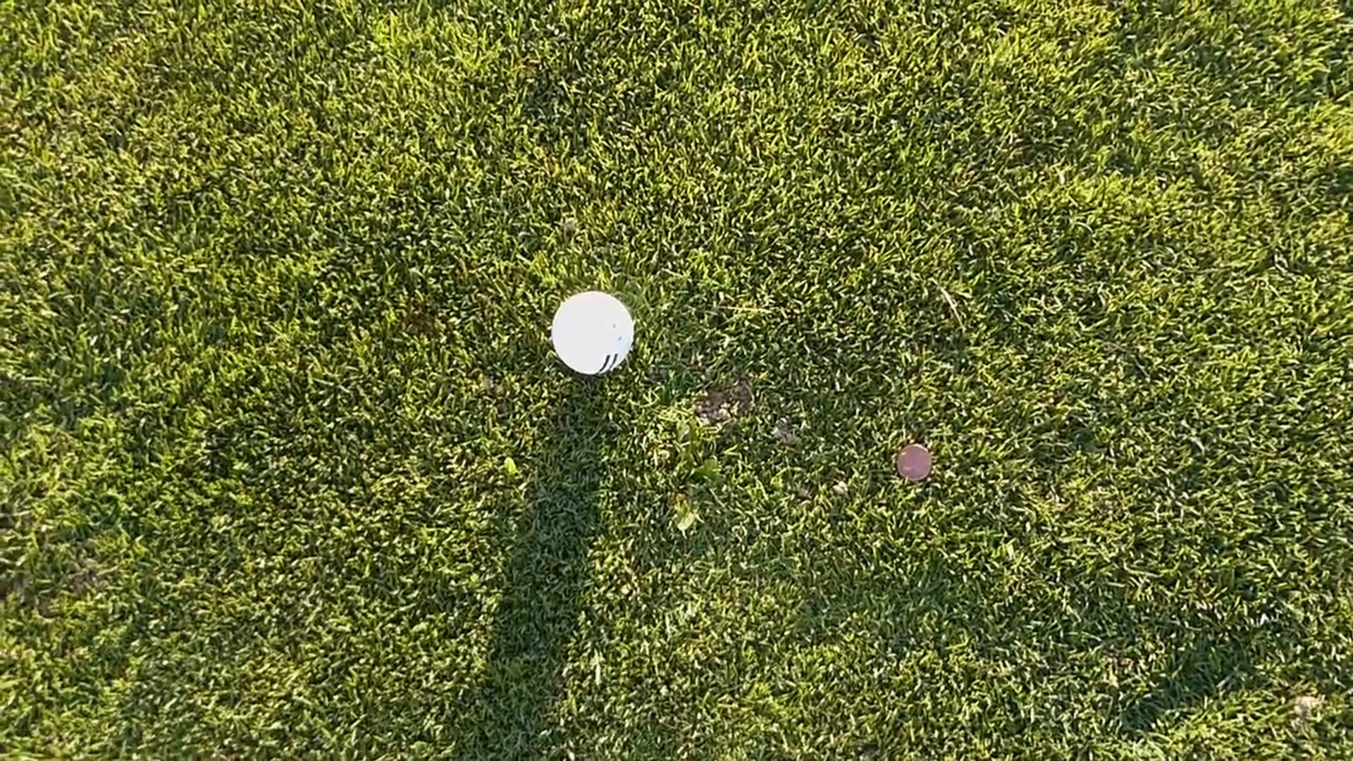 Penny for Head and Swing Plane