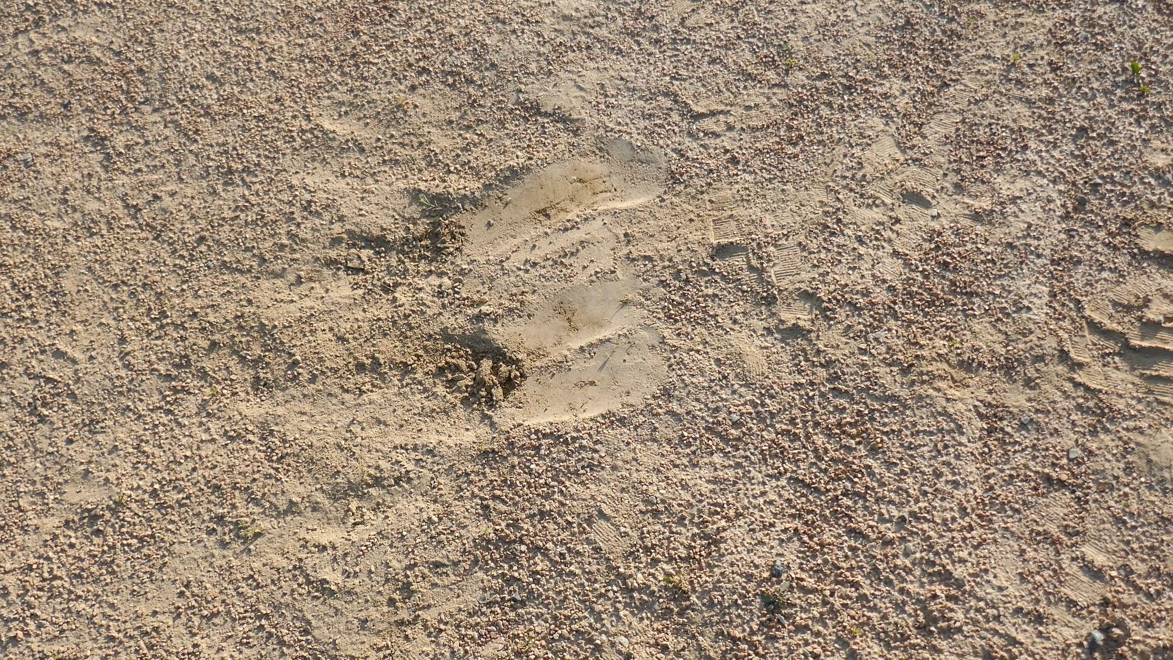 Bunker Practice in a Baseball Diamond