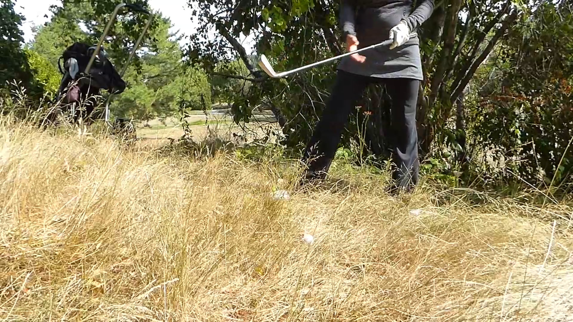 Tall Grass and a Hook