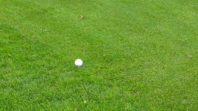 Ball on Fringe Collar