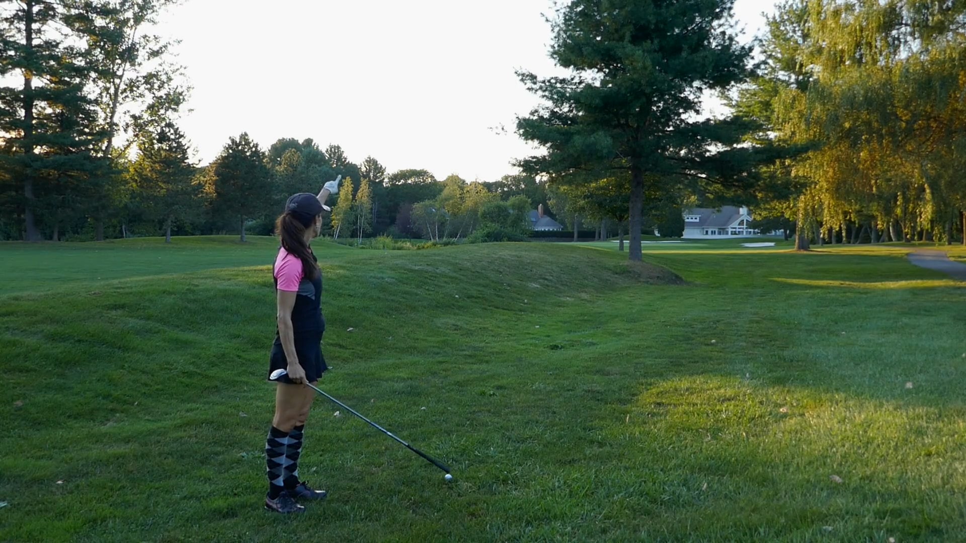 Rough & Around a Tree