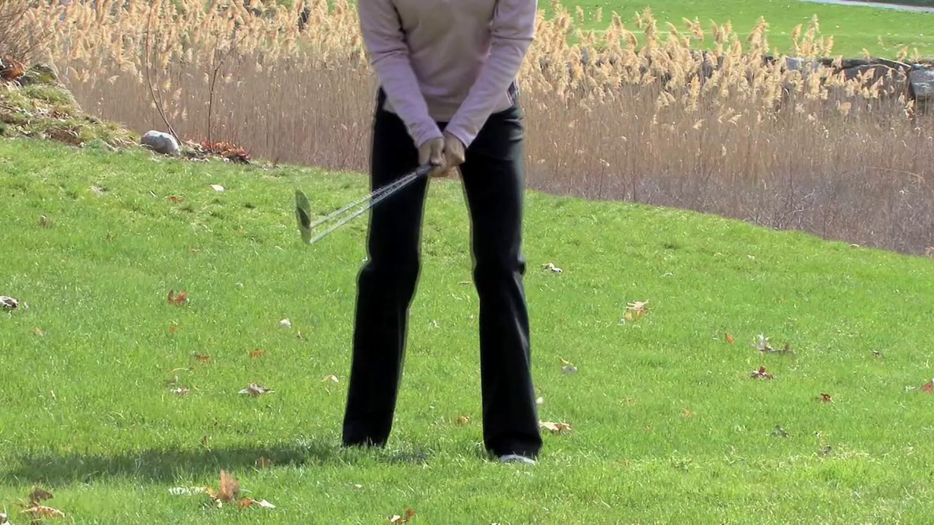 Around the Green » Greenside Rough