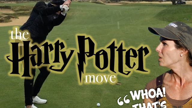 the HARRY POTTER move