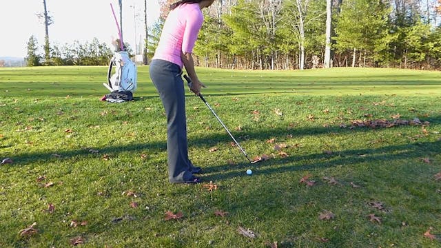 Practice Session (try it!)