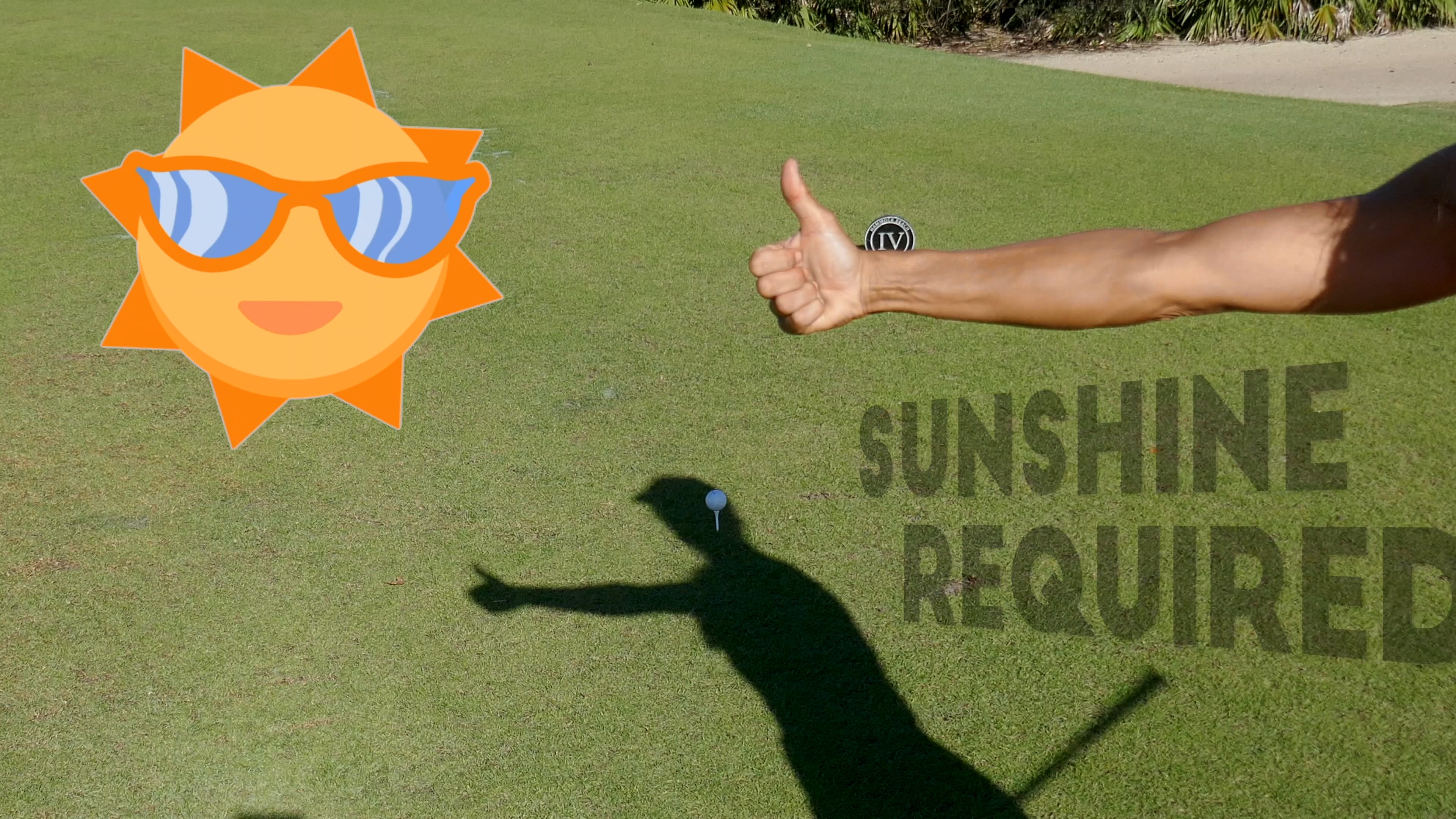 QUICK TIP: Coach Shadow