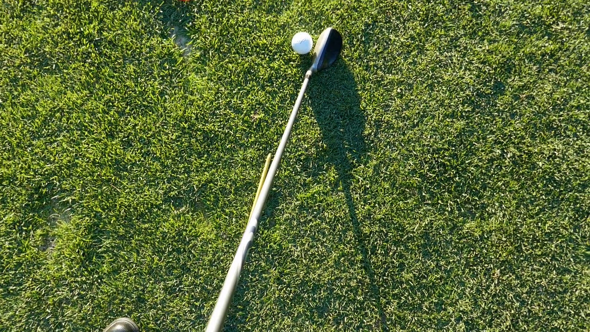 Training Setups Hybrids - Episode 7