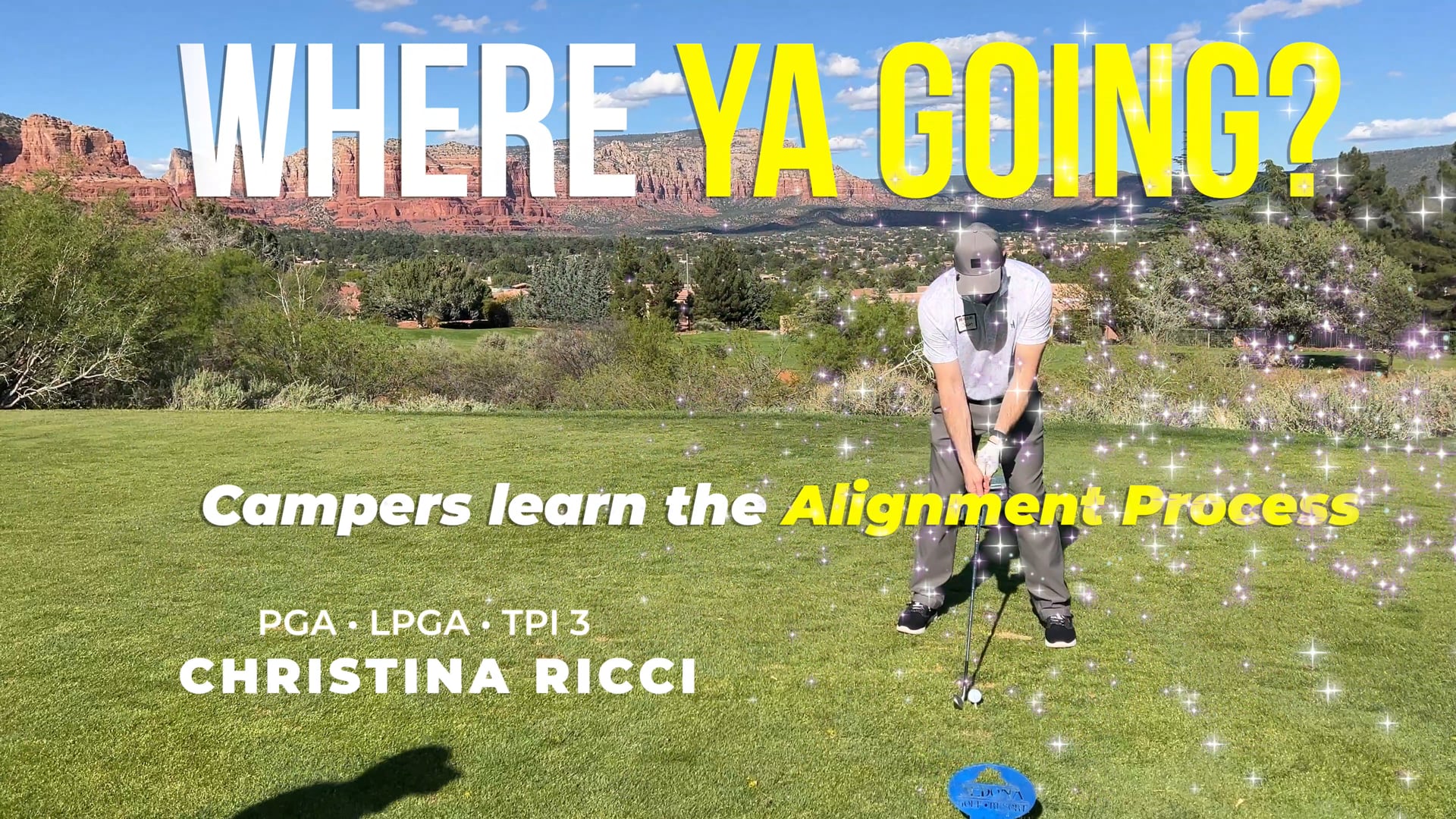 Alignment Process (you can take to the course)
