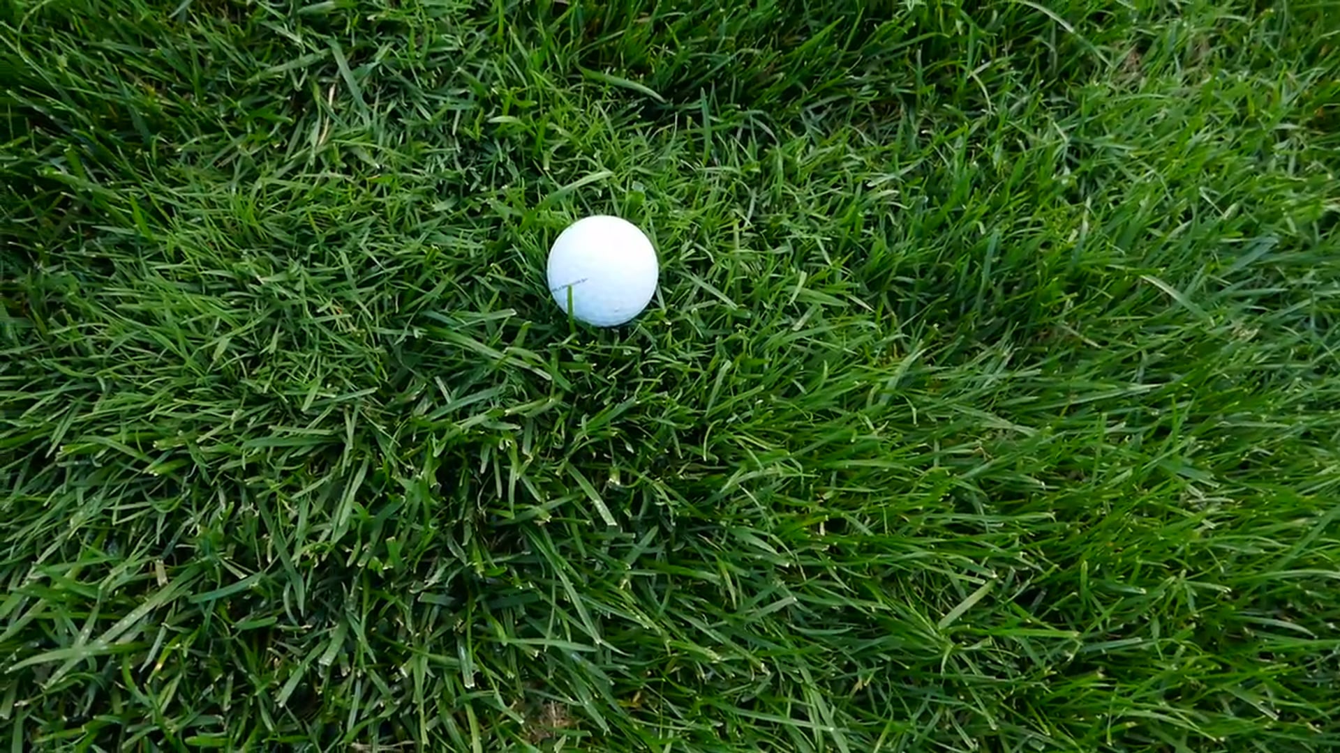 Rough Assess the Situation