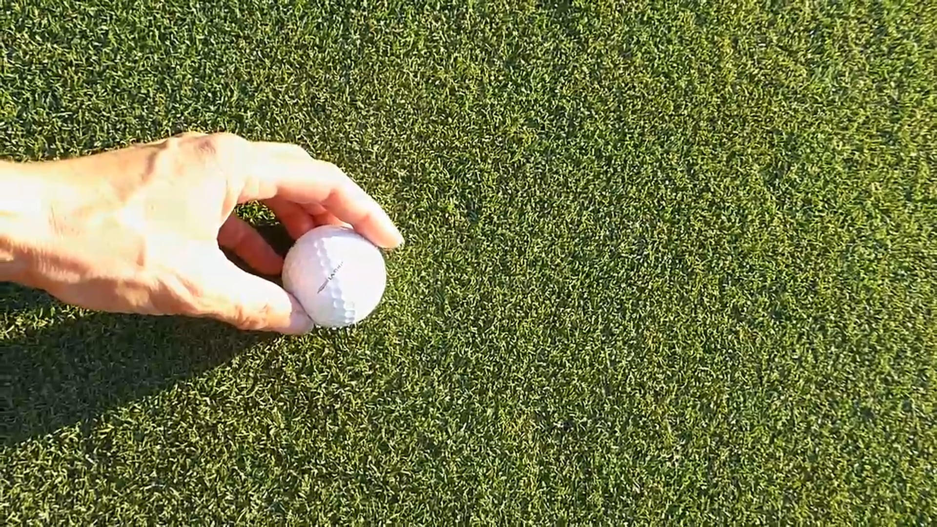 Penny to Fix an Overactive Head