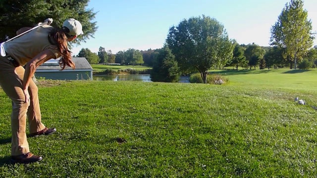 Uphill Lie over Water - Oh My!