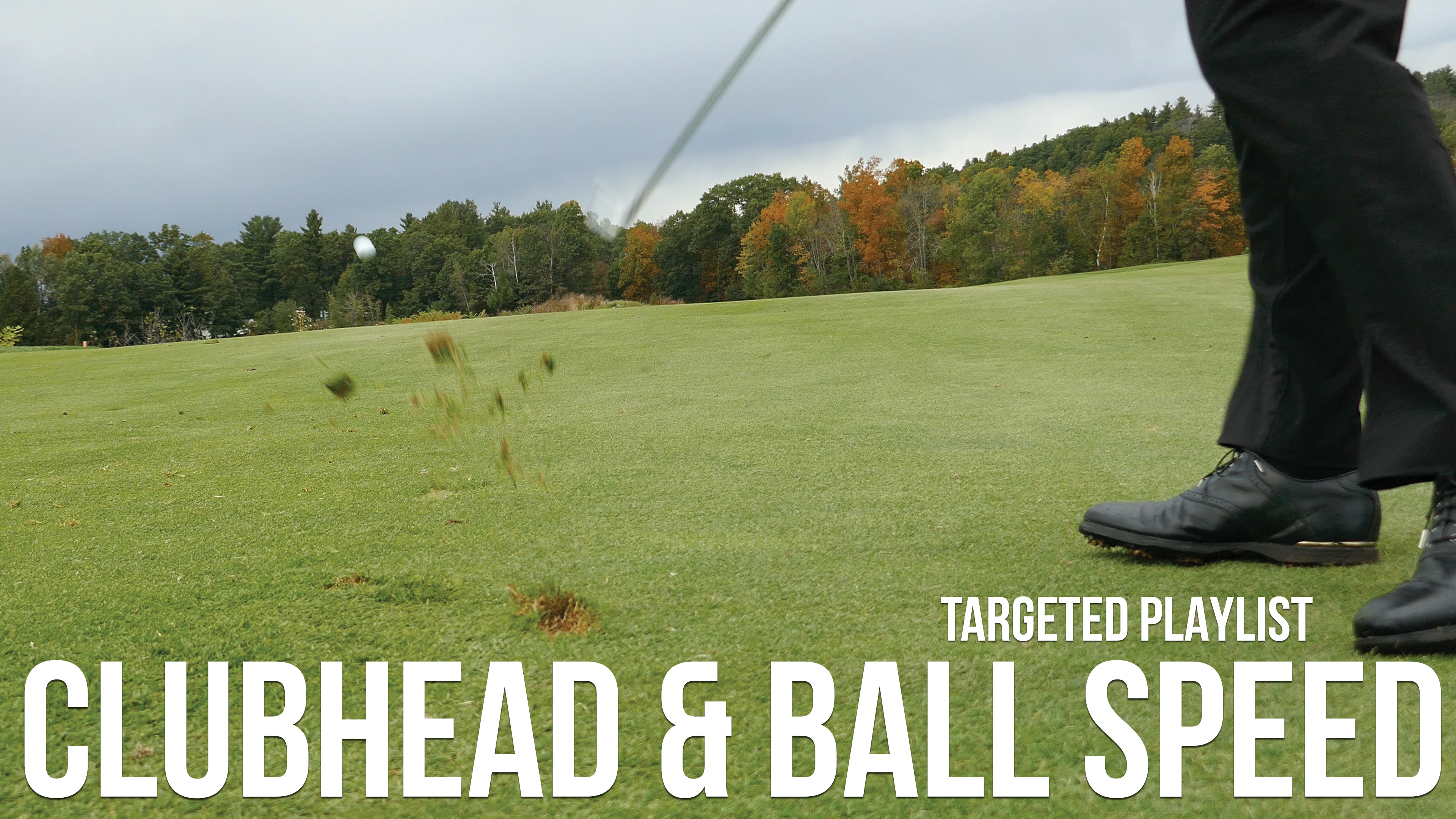 Clubhead & Ball Speed