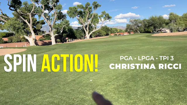 Extra Bonus Spin (Pitch or Chips)