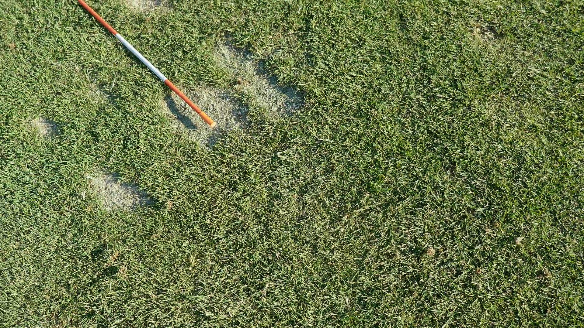 Lean-In Series - LEAN-ROTATE-EXTEND