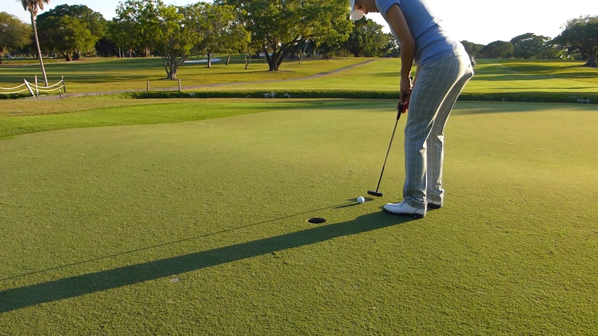 Reading the Green Tips