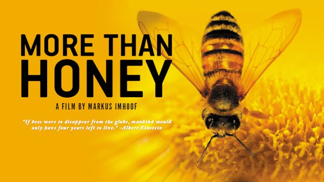 More Than Honey (Theatrical edition, John Hurt narration, trailer)