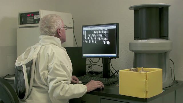 Deleted Scene: Indian Bee Osmia