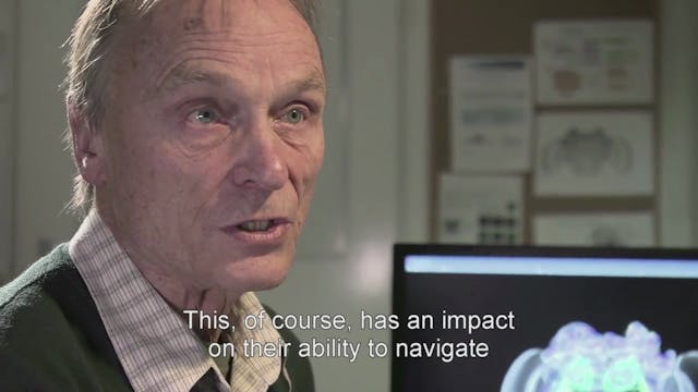 Deleted Scene: Pesticides & Brain