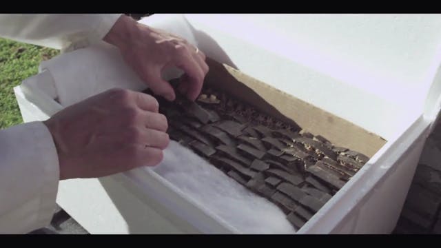 Deleted Scene: Queens via Priority Mail