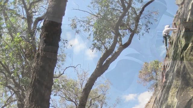 More Than Honey Photo Slideshow