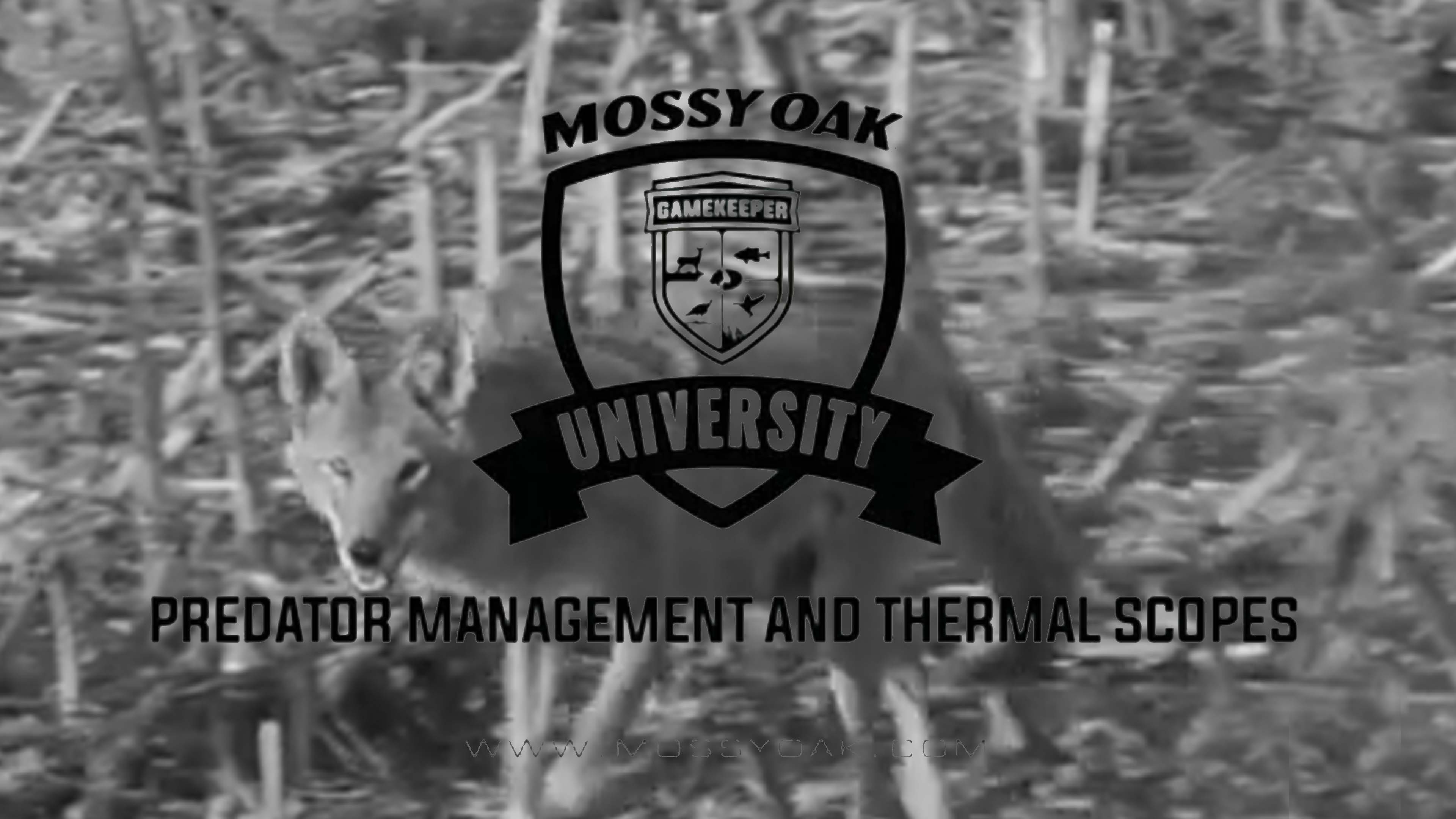 Predator Management Using Thermal Optics • Mossy Oak University
