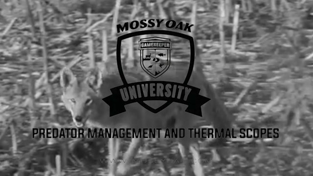Predator Management Using Thermal Optics | Mossy Oak University