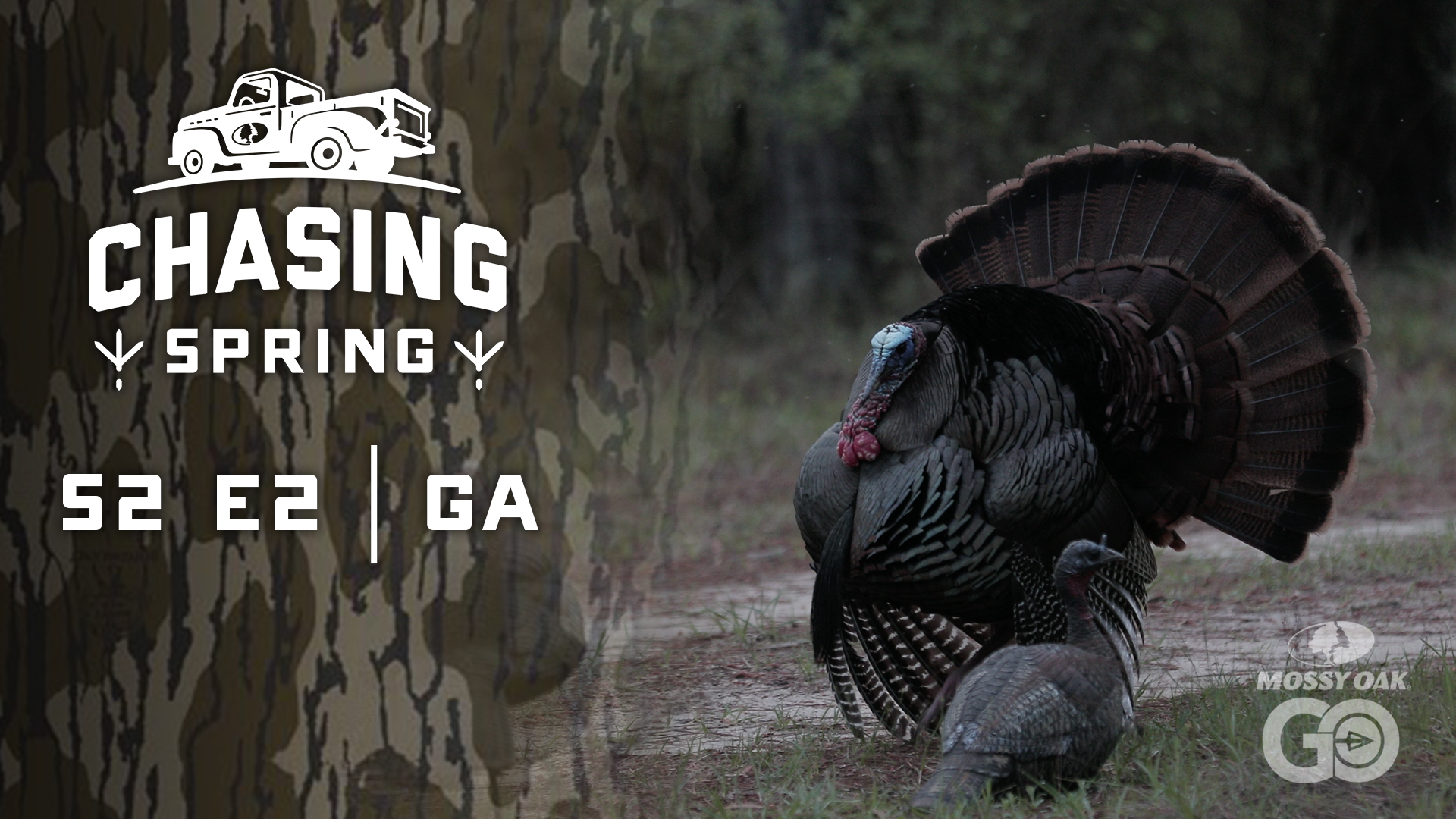 Ep 2 · GA · Chasing Spring