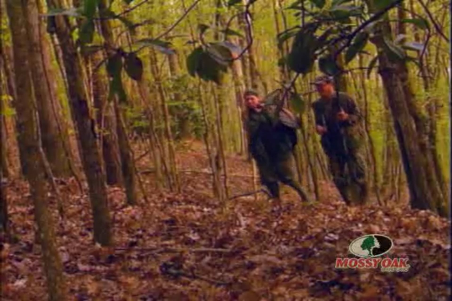 Alabama Buck Bonanza • Whitetail Deer Finding Food Plots