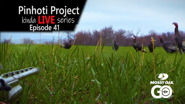Kinda Live • Episode 41 • Pinhoti Pro...