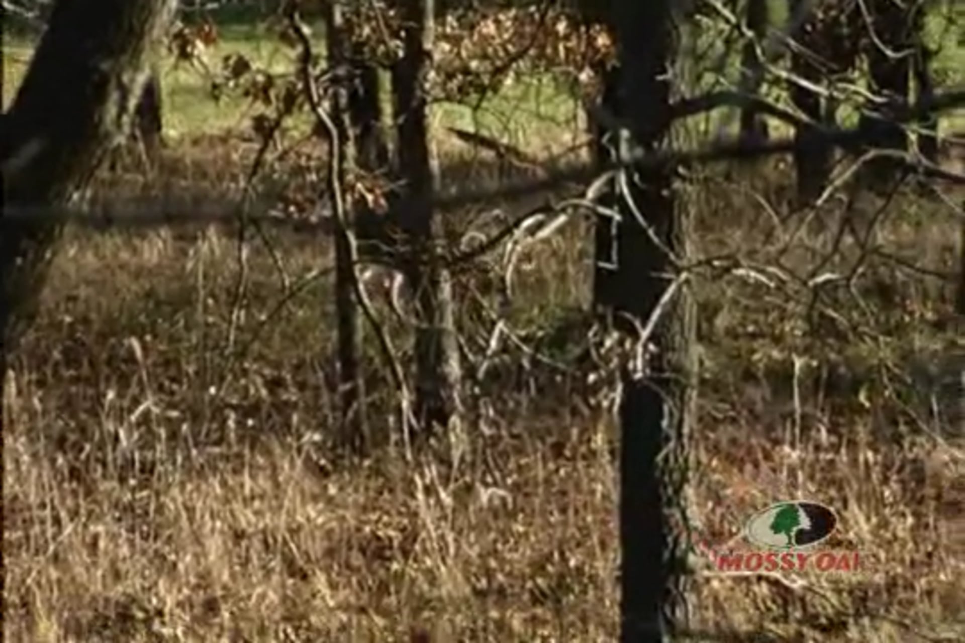 Catch 22 • Whitetail Deer Hunts in Oklahoma